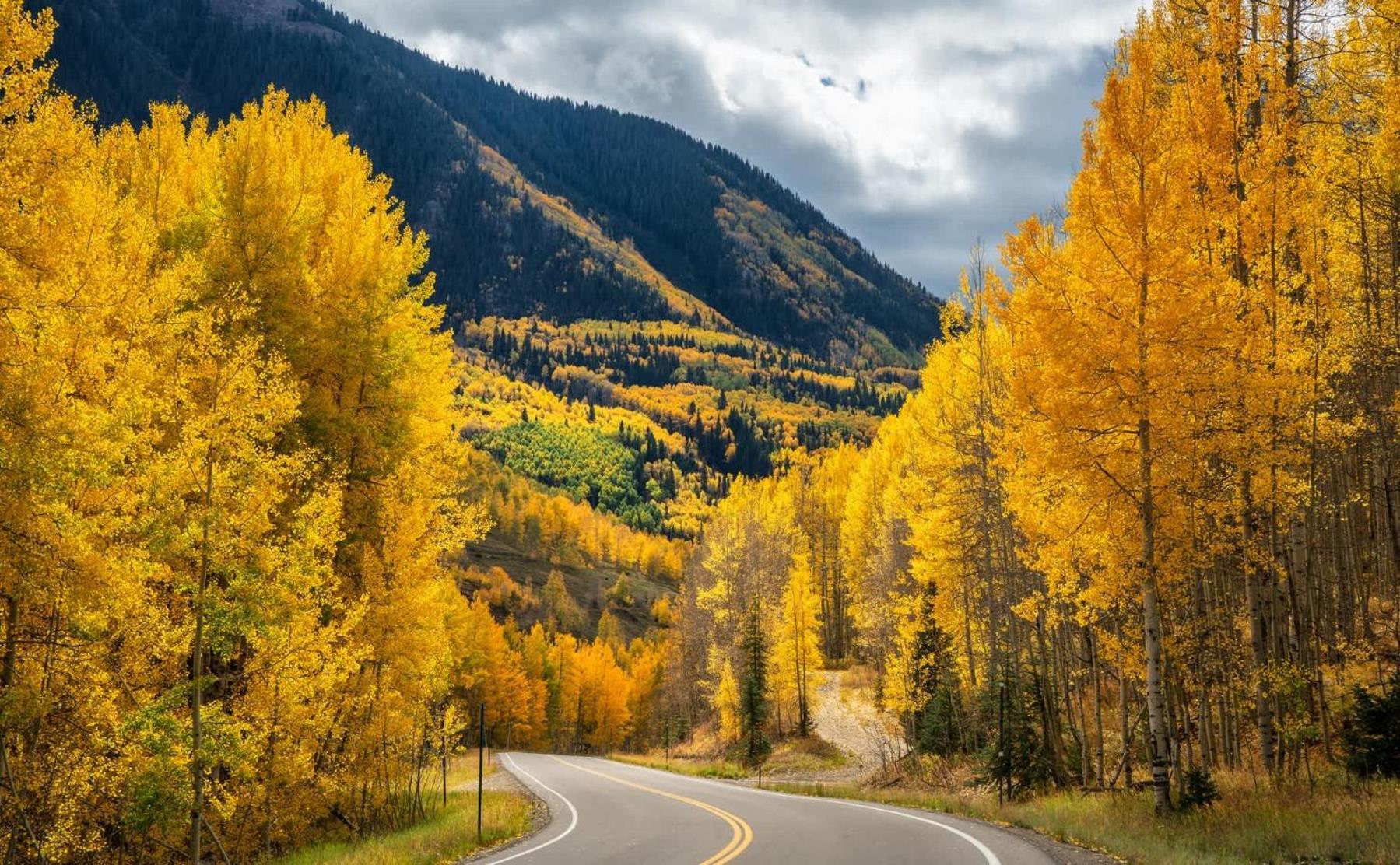 New Listing 2Br 2Ba Condo - Mountain Views Aspen Esterno foto