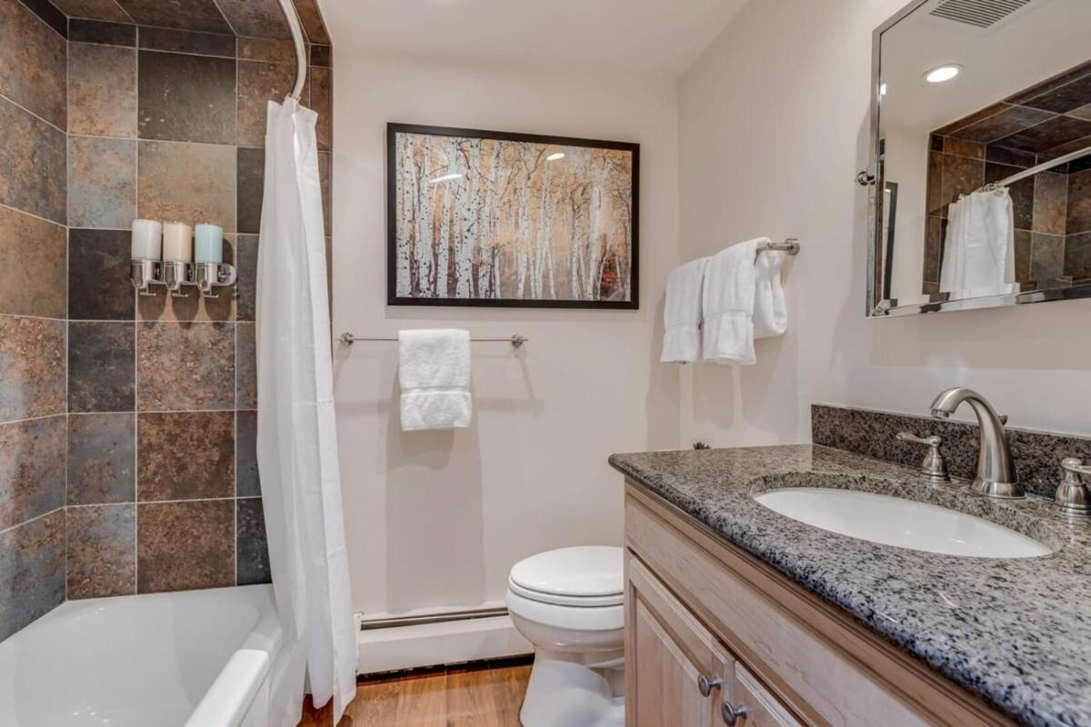 New Listing 2Br 2Ba Condo - Mountain Views Aspen Esterno foto